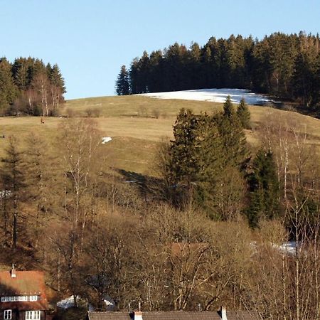 Ferienwohnung Himmelblau - Altenau Harz Exterior foto